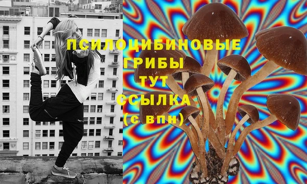 ALPHA PVP Майский